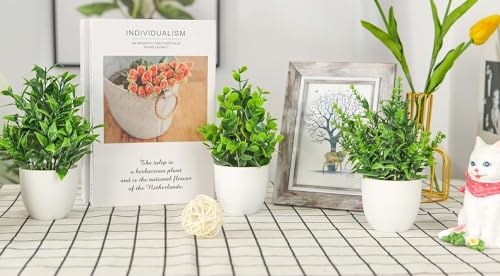 Image of Dekorly Artificial Plants Small Fake Potted Plants, Mini Eucalyptus Potted Faux Decorative Grass Plant with White Pot for Home Decor, Indoor, Office, Desk, Shelf, Table Decoration (Green-5)