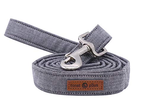 Lionet Paws Hundeleine Baumwolle Hund Leine für kleine mittelgroße große Hunde