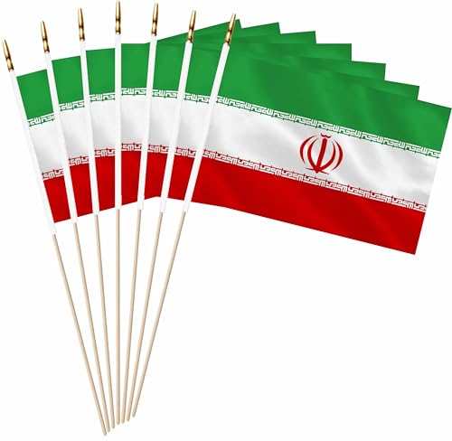 LUSEOAN 20 Pack Small Mini Iran Flag on Wooden Stick Miniature Handheld Iranian Flags Decorations 5x8 Inch