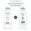 Dove-Nutritive-Solutions-Shampoo-Daily-Moisture-204-oz Dove Ultra Care Shampoo Daily Moisture for Dry Hair Shampoo with Bio-Restore Complex 20.4 oz
