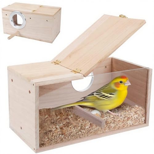 QYRDBGY Nistkasten Wellensittich, Papagei Zucht Box mit Klappdeckel Vogelhaus aus Massivholz Transparentes Design Vogelzuchtbox für Papageien Exoten und Ziervögel (19.5x12x12cm) QYRDBGY Nistkasten Wellensittich, Papagei Zucht Box mit Klappdeckel Vogelhaus aus Massivholz Transparentes Design Vogelzuchtbox für Papageien Exoten und Ziervögel (19.5x12x12cm)