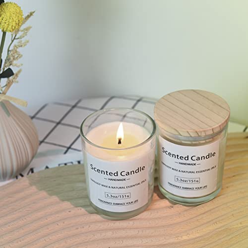 Scented Candles Gift Set For Women: Glass Aromatherapy Can Burn 40 Hours Household Aromatherapy Soy Wax Jar 5.3 Oz Scented For Bathing Yoga Meditation Perfect Birthday Christmas Gifts 2 Pack #TOP7