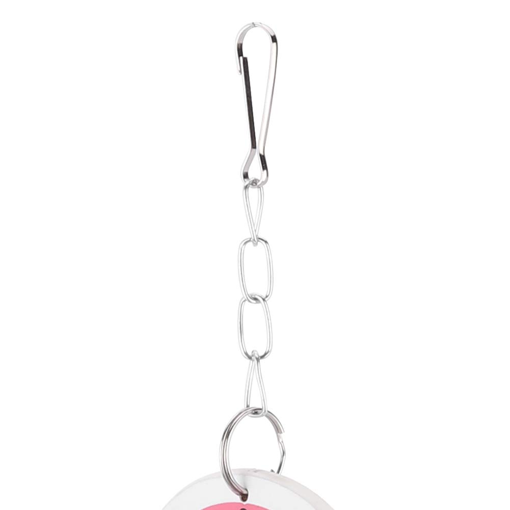 Vogel Spiegel Spielzeug Mit Glocke – 5 Größen, Acryl & Edelstahl, Für Sittiche, Nymphensittiche