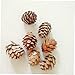 Veemoon 50 Pack Real Props Ornaments for Decorating Scented Pine Cones Frosted Pine Balls for Charcuterie