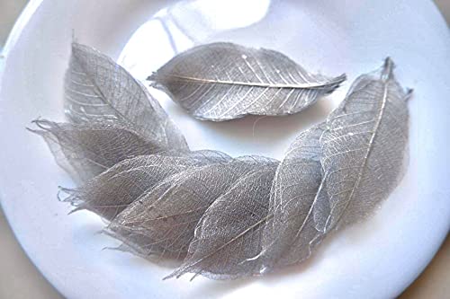 100 Pcs Skeleton Leaves Silver Leaves Natural Rubber Tree Leaves for Crafts Scrapbooking DIY Card Wedding Small Leaves (Silver)