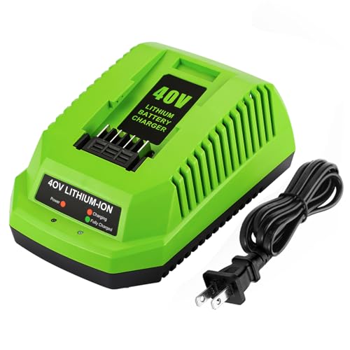 AaveYouMore 40V Charger Replacement for Greenworks 40V Battery Charger 29482 Compatible with Batteries 29462 29472