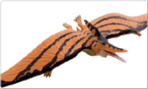 【中古】 はばたけ！恐竜プテラノドン/国土社/たかしよいち はばたけ!恐竜プテラノドン (おはなしなぞとき恐竜の世界 8