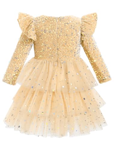 Toddler Baby Girls Sparkle Sequins Velvet Long Sleeve Glitter Tulle Tiered Dress for Xmas Fall Winter2