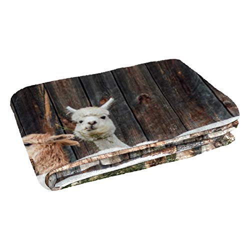 Couverture chaude d'alpaga plaid canap&eacute; drap de plage lit et couverture camping