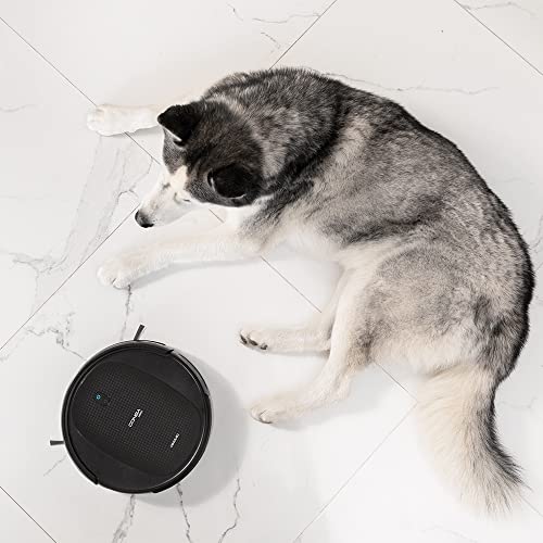 Cecotec-Robot-Aspirador-y-Friegasuelos-Conga-1990-Connected-X-4-en-1-con-Tanque-Mixto-Aspira-Barre-Friega-y-Pasa-la-mopa-App-para-Smartphone-y-Control-por-Voz-2-Cepillos-1400-Pa