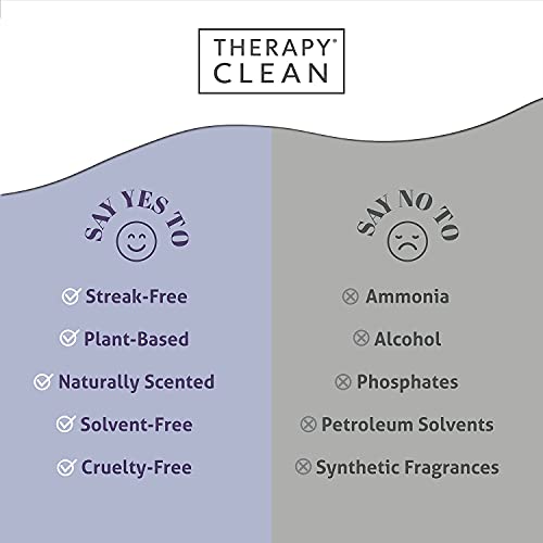 Therapy Stainless Steel Wipes, 30 Count (2 Pack) - Best For Cleaner And Polish Of Kitchen Appliances, Refrigerator, Dishwasher, Oven, Stove, Sink, And Microwave #TOP4
