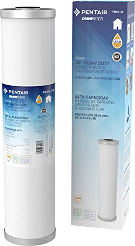 Pentair OMNIFilter PB55-20 Carbon Water Filter, 20-Inch, Whole House Premium Heavy Duty Big Blue Carbon Block Lead Reduction Replacement Cartridge, 20