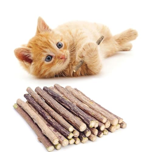 Image of 10PCS Natural Silvervine Sticks | Matatabi Catnip Dental Sticks Cat | Indoor Chew Toys | Wooden Engaging Stick for Teeth Cleaning | Edible Kitty Toys | Teeth Molar Tool | Cat Treat Toy