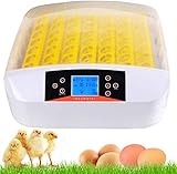 incubadora arges 56 Incubadora totalmente automática: Los huevos se dan la vuelta de forma totalmente automática, el ventilador distribuye el aire caliente de manera uniforme, solo tienes que poner el agua en la incubadora. Ofrece una regulación estable de la temperatura, regulación de la humedad y un ritmo de giro de huevos de 2 horas, un clima excelente de incubación para una tasa de eclosión óptima.