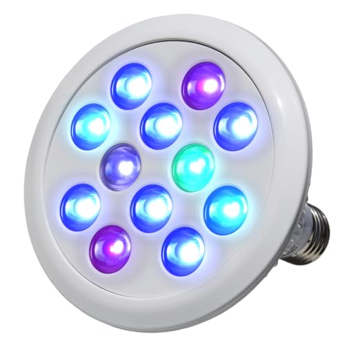 サンゴ用LEDライト サンゴ水槽はLED照明で管理しよう｜おすすめのLED5選と夜間照明