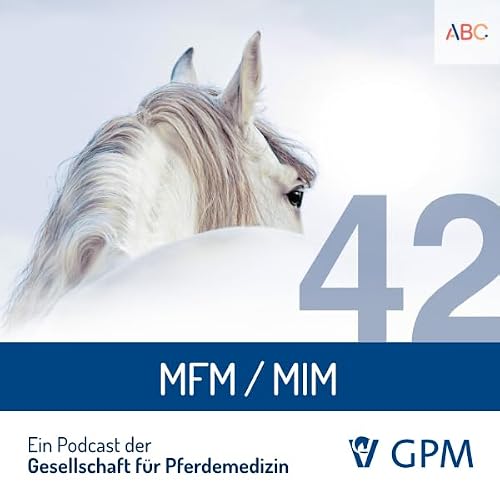 MFM /MIM