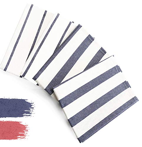 DIVORY Juego de 4 paños de cocina, 100 % algodón, 40 x 60 cm, diseño a rayas, color azul y blanco, 40 x 60 cm