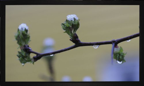Preisvergleich Produktbild Medium Frame Rahmenleinwand für Wandbefestigung 240x135cm (Format 16:9)