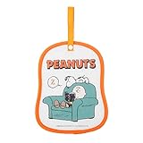 nishikawa 【 西川 】 スヌーピー 除湿シート 消臭 クローゼット用 引き出し スーツケース 調湿 湿気 ぐんぐん 吸収 コンパクト 1年中使える チャーリー・ブラウン 142958115 20×25㎝