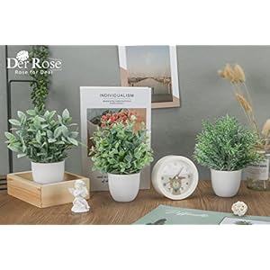 Der Rose Faux Plants Indoor, 4 Pack Small Fake Plants Mini Artificial Plants in Pots for Home Office Shelf Farmhouse Bathroom Decor Der Rose Faux Plants Indoor 4 Pack Small Fake Plants Mini Artificial Plants in Pots for Home Office Shelf Farmhouse Bathroom Decor