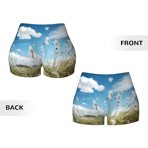 Prairie Flower Pattern Sports Shorts, high Elastic Slim Fitness Pants, Suitable for Yoga/Leisure/Daily wear3