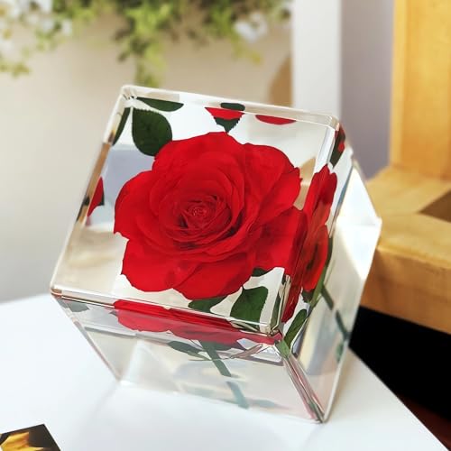 Image of Nature Plant Flower Rose Specimen in Resin Preserved, Science Educational Classroom Specimens, Clear for Closer-Look & Study. Novelty Crafts Decor Ornament, Amazing Unique Gift (Cube 1.9x1.9x1.9-inch)