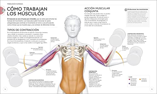 Entrenamiento de Fuerza: Mejora Tu Tã(c)Cnica, Evita Lesiones, Perfecciona Tu Entrenamiento