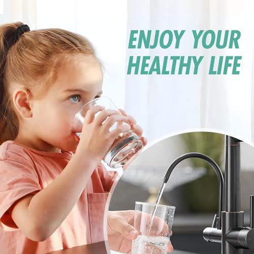 Image of Fapully Commercial 3 in 1 Kitchen Faucet with Sprayer and Water Filler | Oil Rubbed Bronze,Pull Down Sprayer,360 Swivel Spout,Kitchen Sink Faucet with Drinking Water Faucet Fit for 1 or 3 Holes