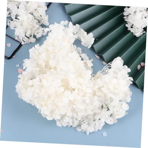 Alipis 1pack pétalos secos de hortensia blanca para manualidades miniatura 5