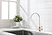Havin Gold Drinking Water Faucet,Brushed Gold Reverse Osmosis Faucet,Water Filter Faucet for Kitchen Sink Use,Beverage Faucet,Lead-Free Stainless Steel(Brushed Gold)