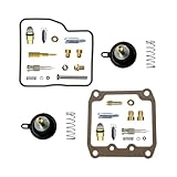 Kit di revisione del carburatore per motociclette, che rappresenta una soluzione completa per le esigenze di riparazione del carburatore.
