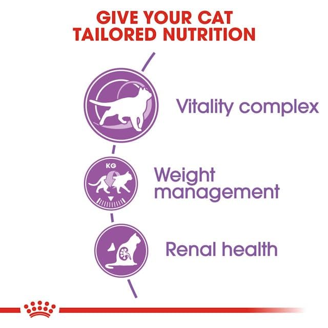 Royal Canin Regular STERILISED 7+ | 400 g | Alleinfuttermittel für sterilisierte Katzen | Kann zur Unterstützung der Nieren- und Harnfunktion beitragen | Vitalitätskomplex
