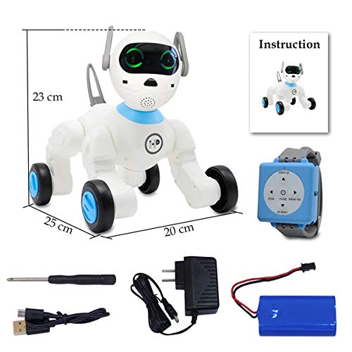 rc smart dog