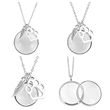 DELORIGIN Collier Commémoratif en Poils D'Animaux Collier Souvenir en Fourrure Médaillon Transparent avec Aile et Patte Urne pour Chat et Chien Bijou Commémoratif pour Femmes et Hommes
