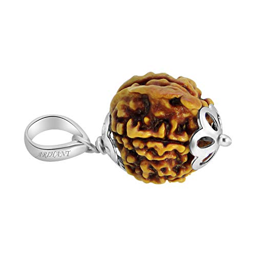Image of Arihant Gems and Jewels 4 Mukhi to 7 Mukhi Ganesh Ji Nepali Rudraksha with 925 Silver Pendant - Natural & Certified Astrological Pendant for Positive Effects | Unisex for Men & Women