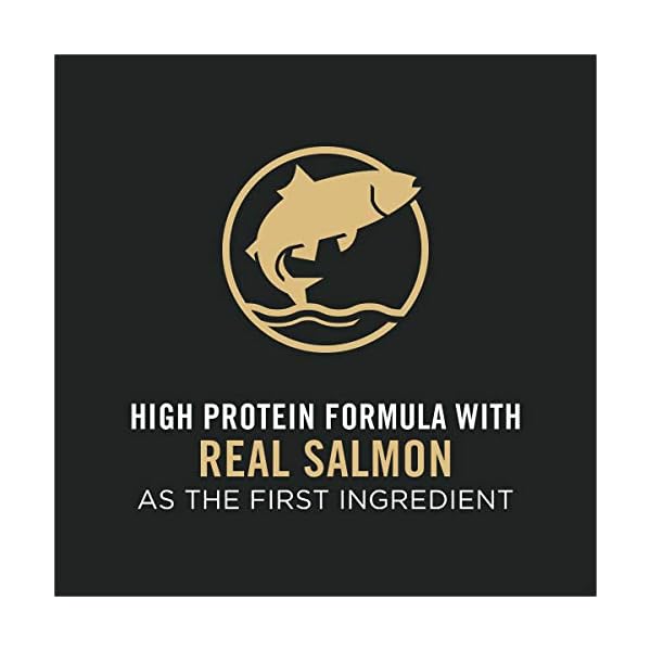Purina Pro Plan High Protein Dry Dog Food, Sport Performance 30/20 Salmon & Rice Formula – 6 lb. Bag Purina Pro Plan High Protein Dry Dog Food, Sport Performance 30/20 Salmon & Rice Formula – 6 lb. Bag