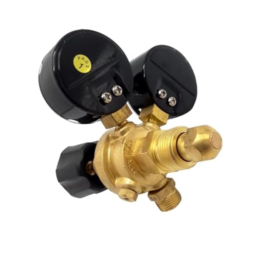 Dual Gauge Gas Pressure Regulator
