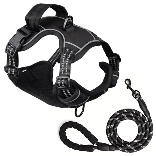 Hundegeschirr und 1.5m Leine Set, Brustgeschirr für Kleine Mittelgroße Grosse Hunde, Weich Atmungsaktiv Einstellbar Reflektierend Hundegeschirr Anti Zug (Schwarz, S)
