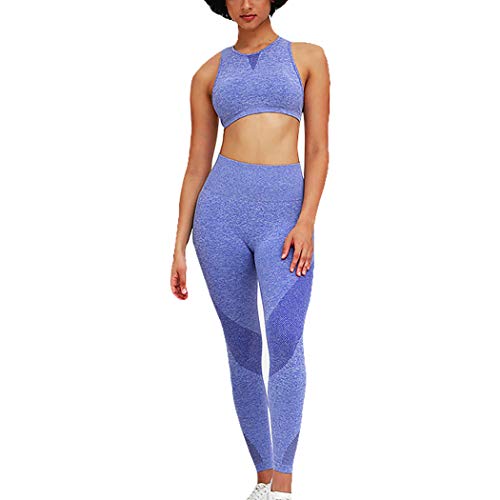 bbpawing Women Seamless Yoga Knitted Suits Mesh Stitching Fat Burner Slimming Gym High Waisted Leggings Fitness Outfits Blue