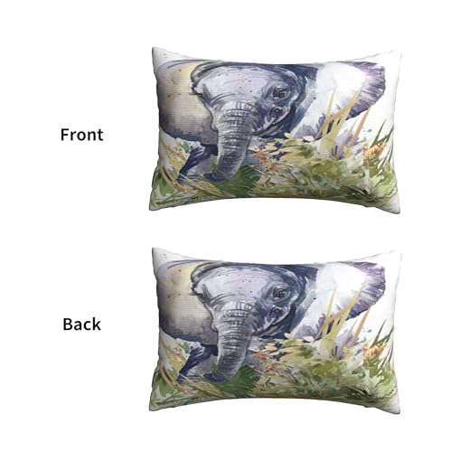 ʃvbVJo[A_炩ȁA20x30C`Axbh\t@ɍœKiAtJ̐Ԃۂ̖쐶̐ʃCXgA[gwifUCj