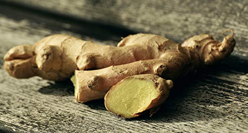 Fresh Culinary Ginger Root Plant Starts, Great for Eating Fresh for Sushi, Cooking, Healthy and Tasty. Easy to Grow - Image 8