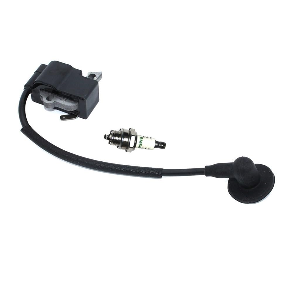 Module de bobine d'allumage pour résoudre les problèmes de démarrage MS271