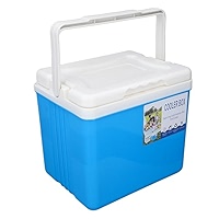 GkgWuxf Insulated Cooler - Refrigeration Box With 6 Ice Packs - 6l
