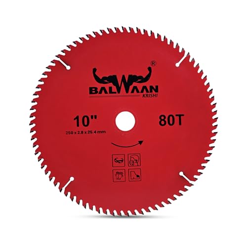 Image of Balwaan Krishi Brush Cutter Blade 80 Teeth| 2.8 mm Thick Hardened Steel Blade for Grass, Weeds & Bush Cutting | Suitable for All Brush Cutters|80T-35