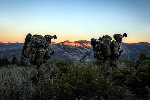 What Makes a Good Military Coalition Partner? Titelbild