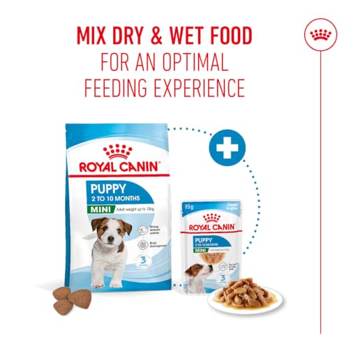 Image of Royal Canin Mini Puppy Food, Dry Food, Supports Immune System, Brain Development & Digestive Health, 2 Kg