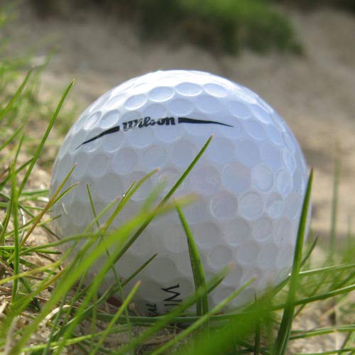 Buy Easy Lakeballs 50 WILSON DX2 SOFT LAKE GOLF BALLS AAAA QUALITY (PEARL GRADE) Online at