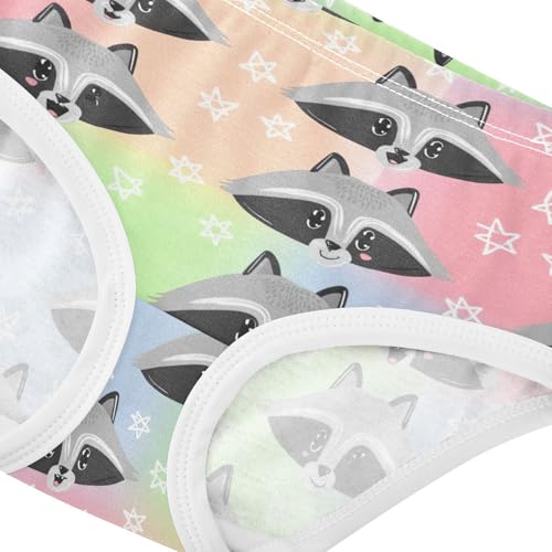 Joisal Cute Cartoon Raccoon Pastel Little Girl Panties Toddler Girls Underwear Cotton Fun Print Briefs Undies Kids 2t4