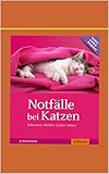  Notfälle bei Katzen: Erkennen Helfen Leben retten