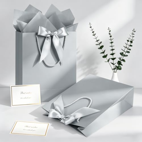 Image of JMANNI Gift Bag, 1PCS Gift Bags with Ribbon and 1 Greeting Cards 2 Tissue Paper, Portable Paper Gift Bag with Handles, Birthday Gift Bags,Present Bags for Wedding Party Mothers Day(Silver)